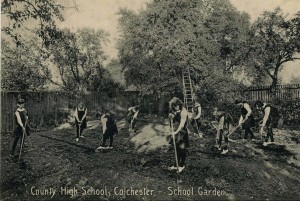 CCHS pupil garden